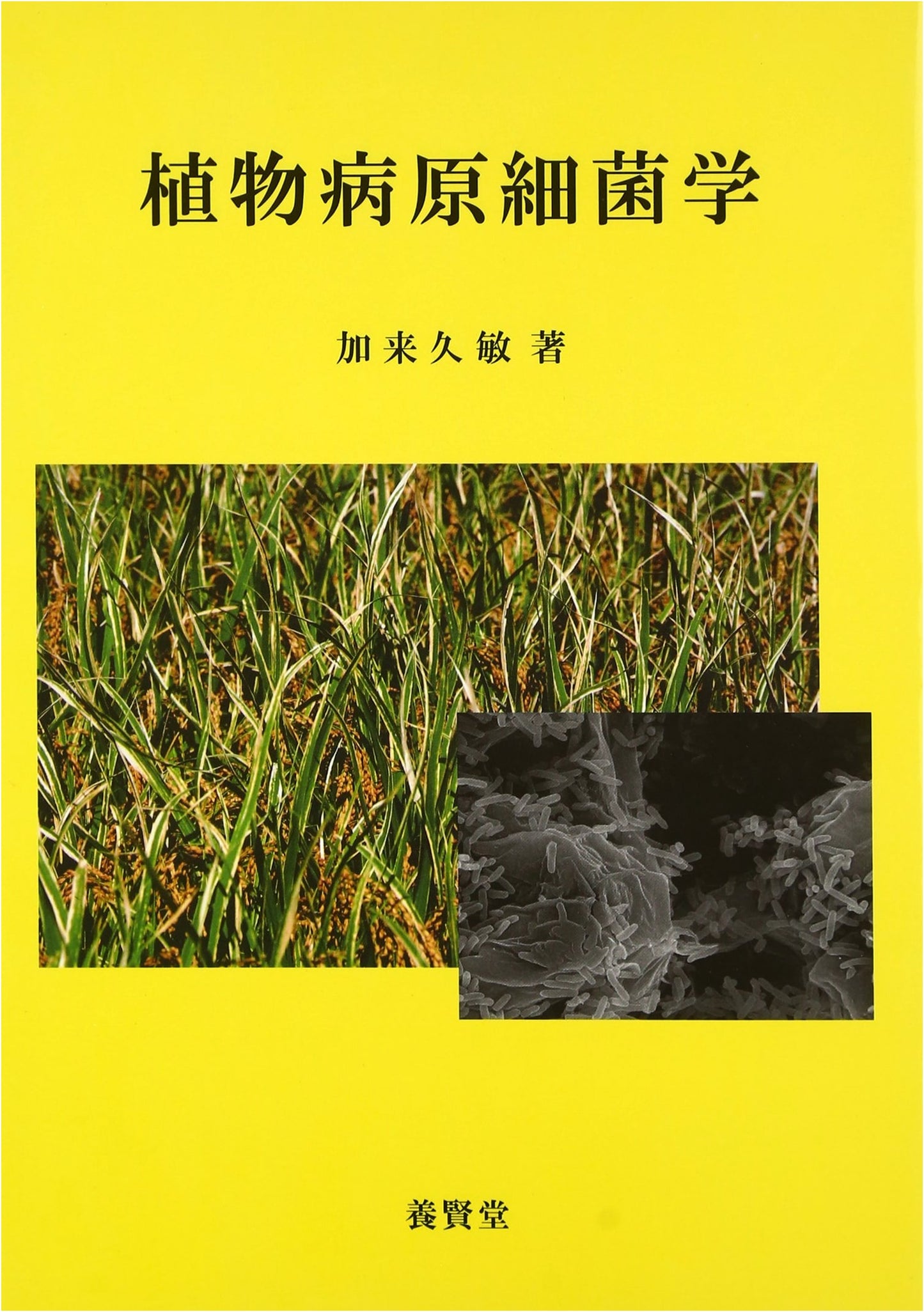 Plant Pathogenic Bacteriology