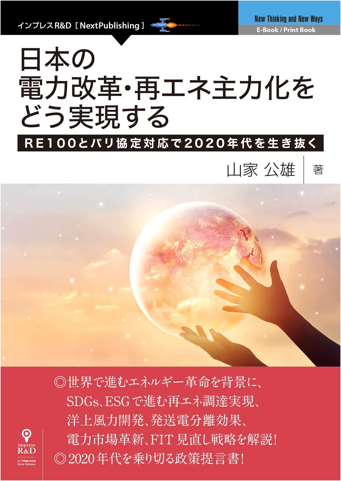 Japan's Power Reform & Renewable Energy: Navigating RE100 & Paris Agreement in the 2020s