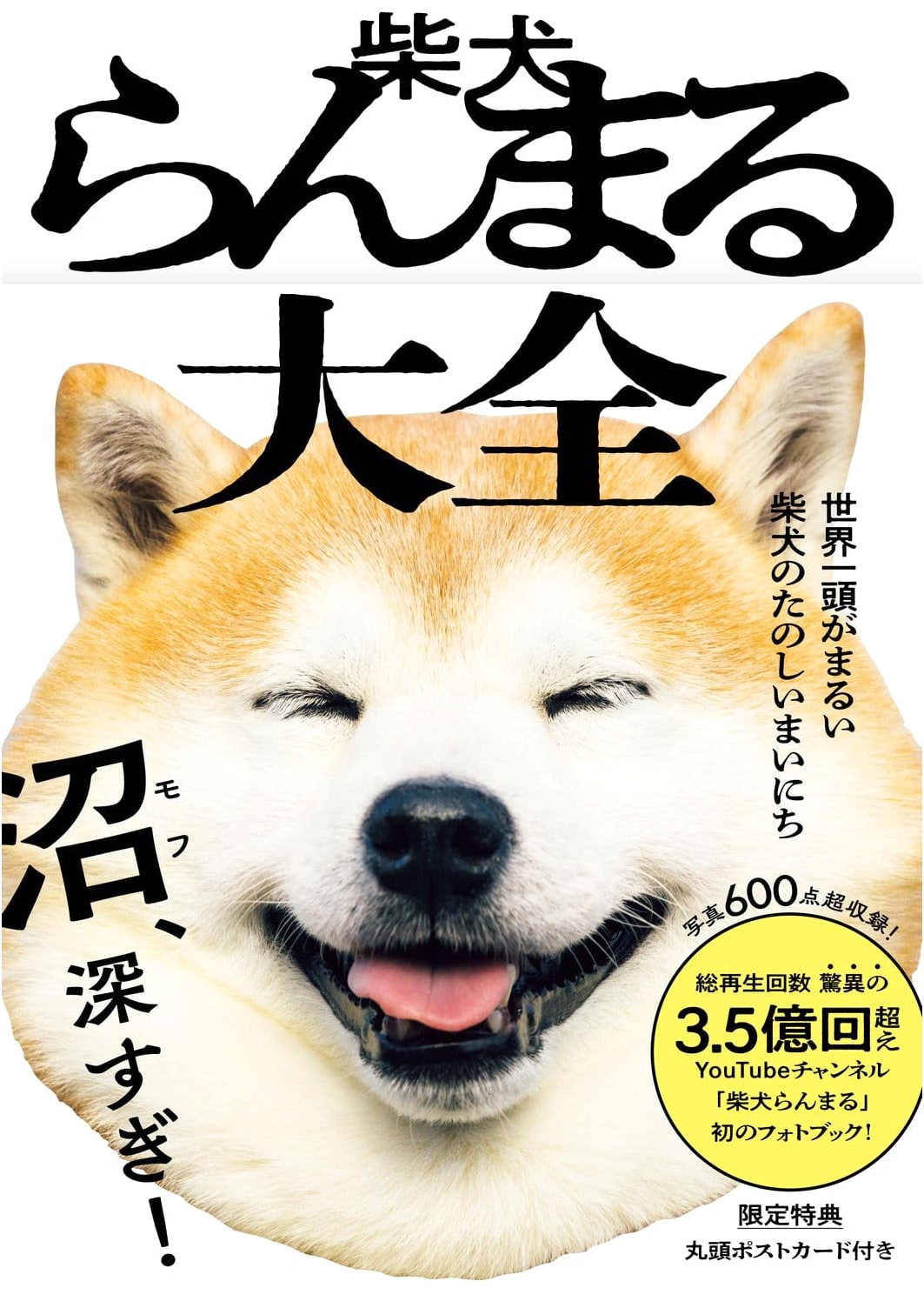 Ranmaru the Shiba Inu: A Round-Headed Dog's Happy Life - Photo Book