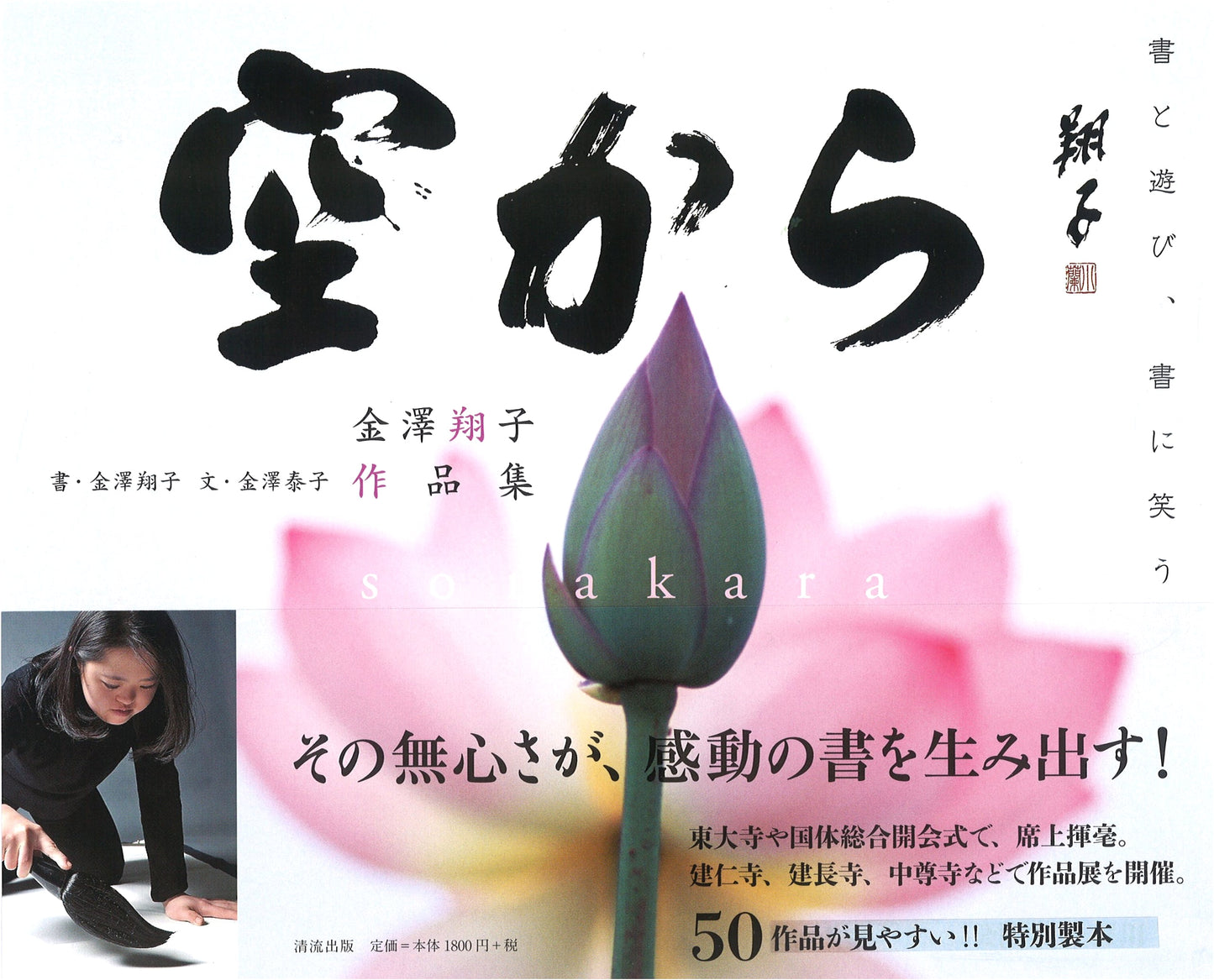 From the Sky: Calligraphy to Play With, Calligraphy to Laugh With - Shoko Kanazawa Collection