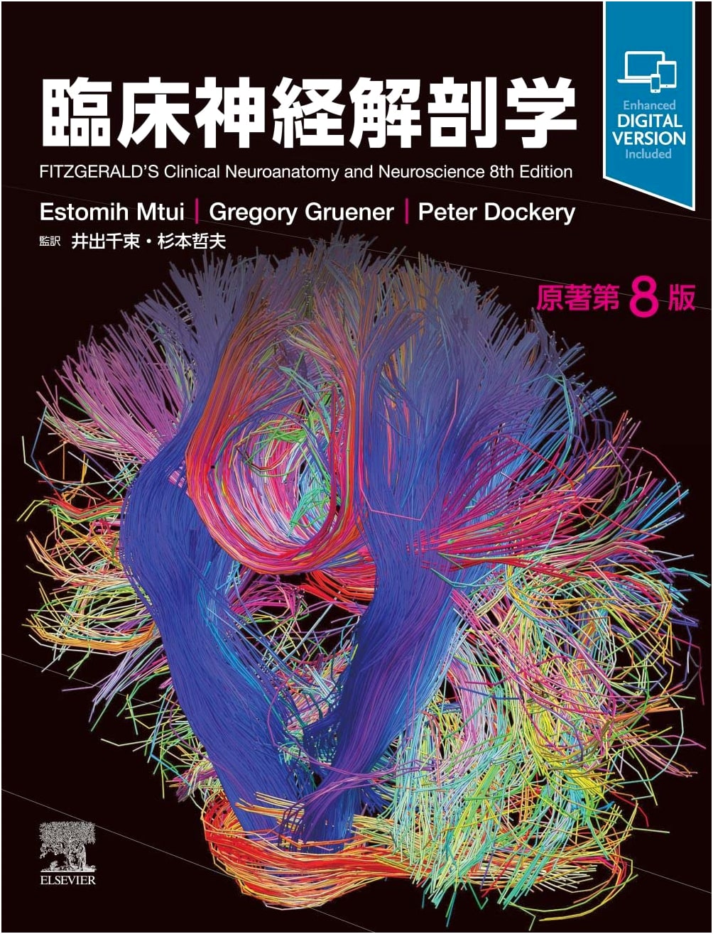 Clinical Neuroanatomy: Original 8th Edition