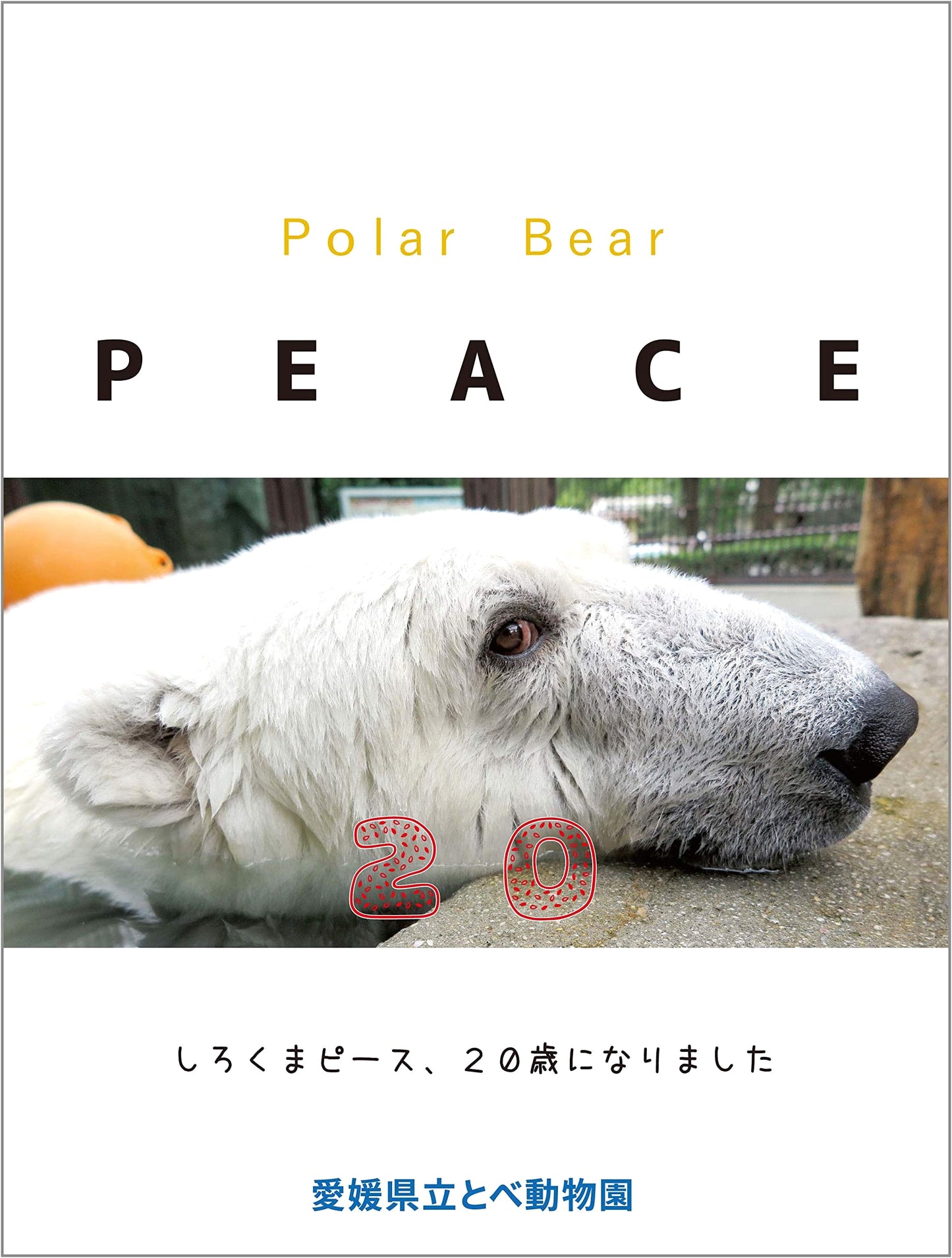 Polar Bear PEACE 20: A Special Edition Photo Collection