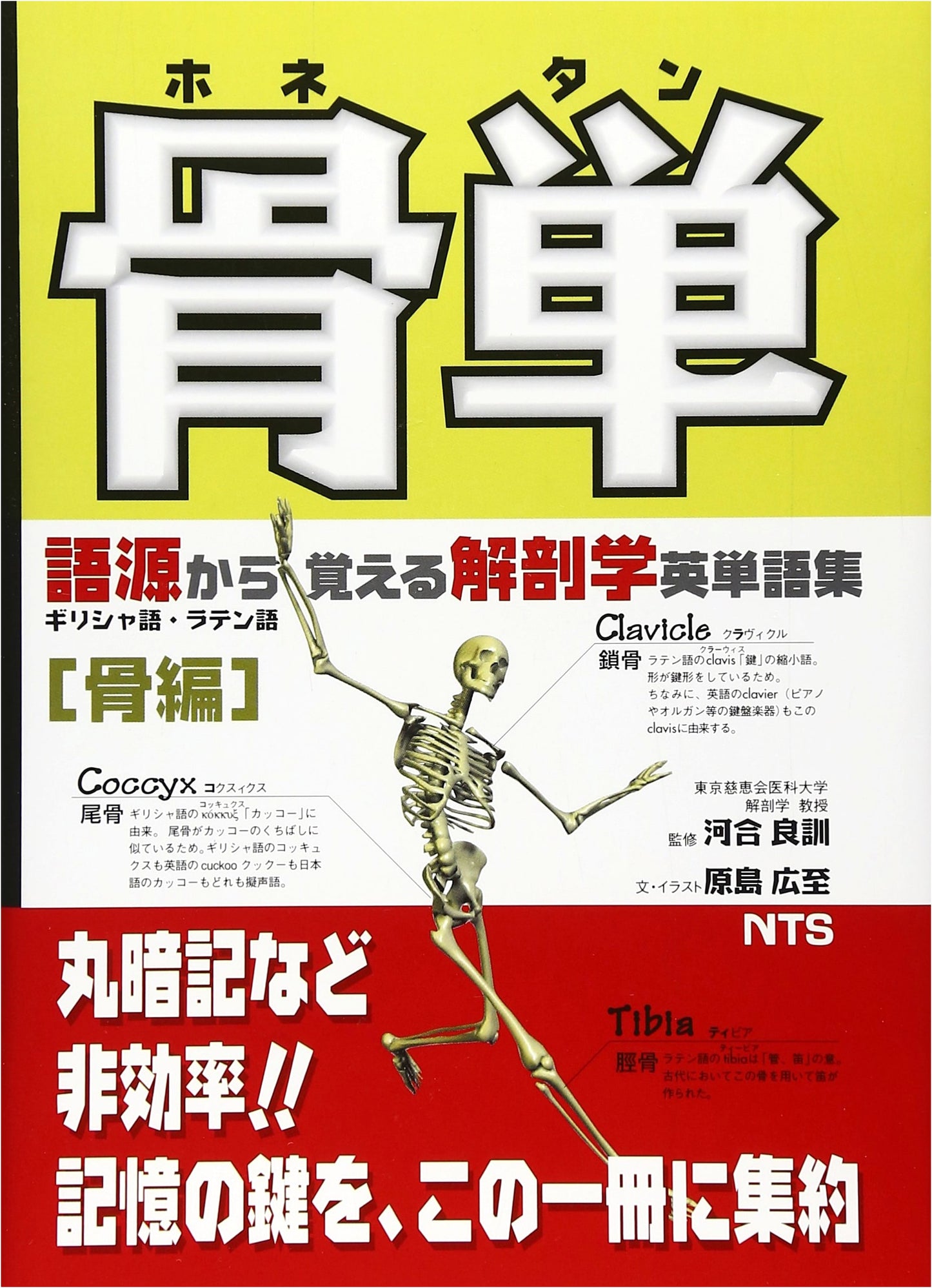 Kotsutan: Etymology-Based Anatomy English Vocabulary Guide