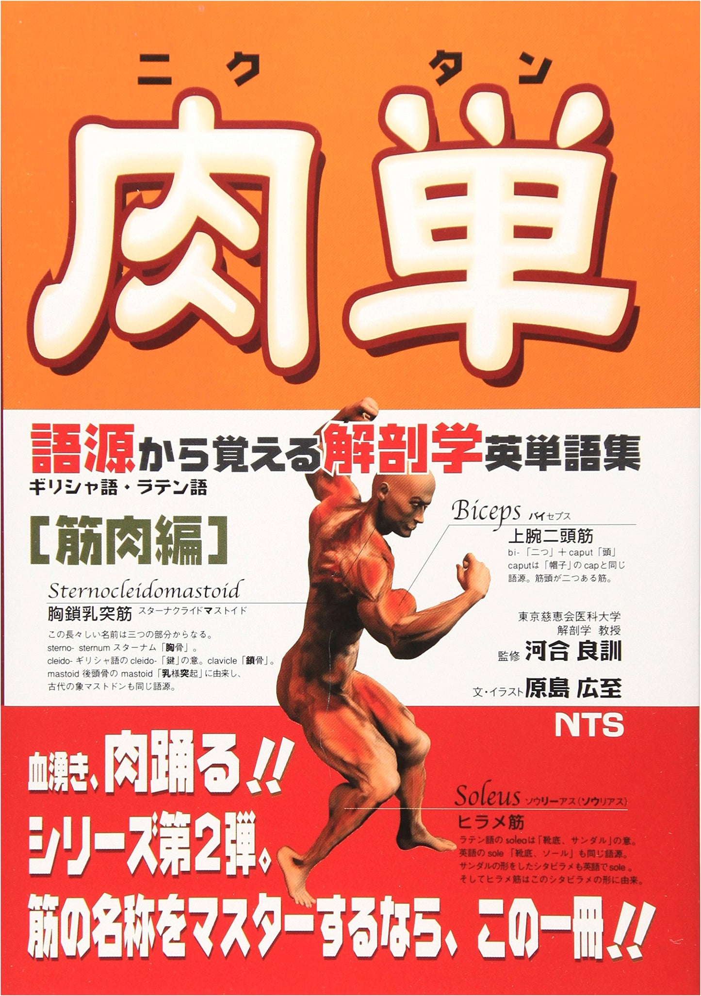 Nikutann: Anatomy Vocabulary from Etymology - Muscles Ed. by Yoshinori Kawai