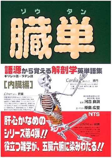 Zoutan: Anatomy English Vocabulary for Internal Organs (Etymology)