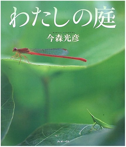 My Garden by Mitsuhiko Imamori