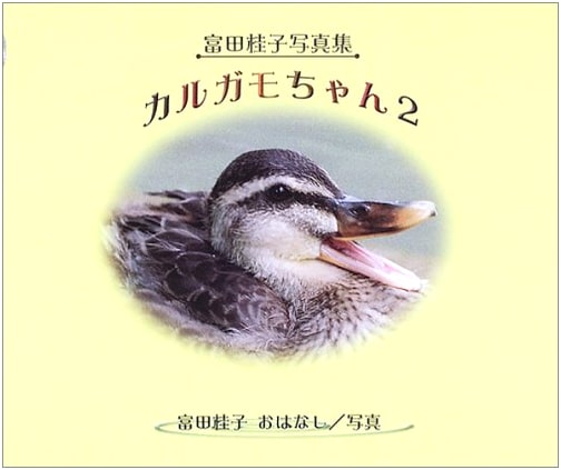 Little Ducklings: Keiko Tomita Photography Collection (Vol. 2)