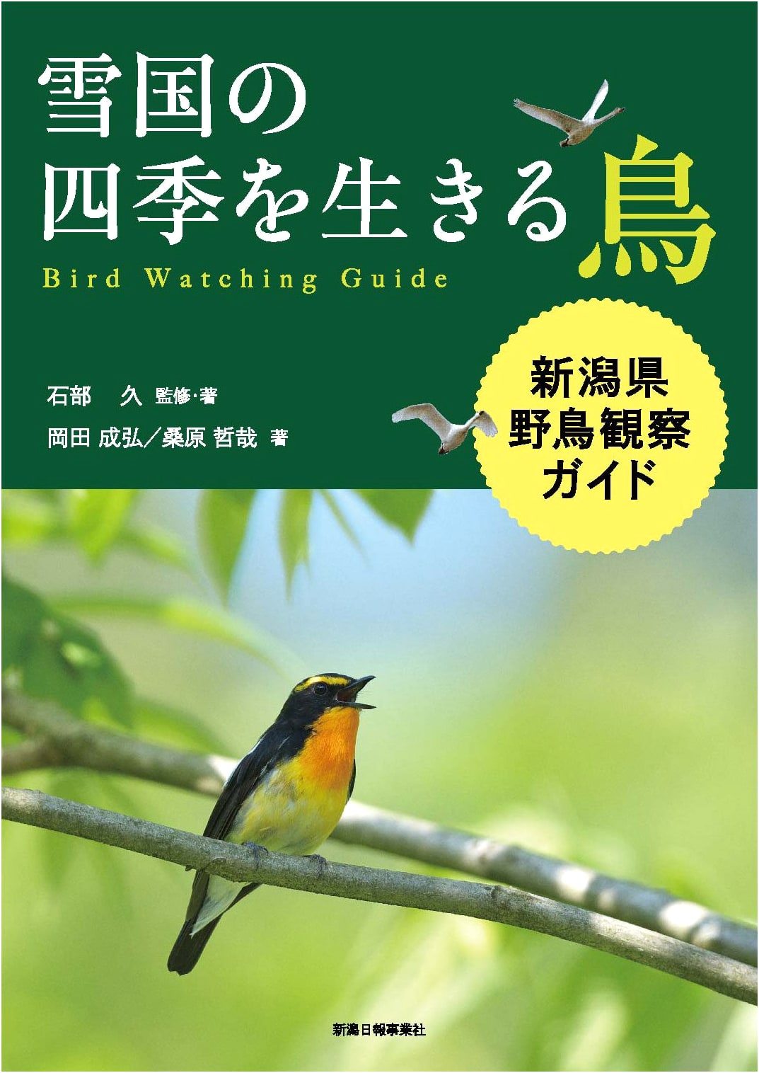 Birds Living Through the Seasons of a Snow Country: Niigata Prefecture Wild Bird Watching Guide