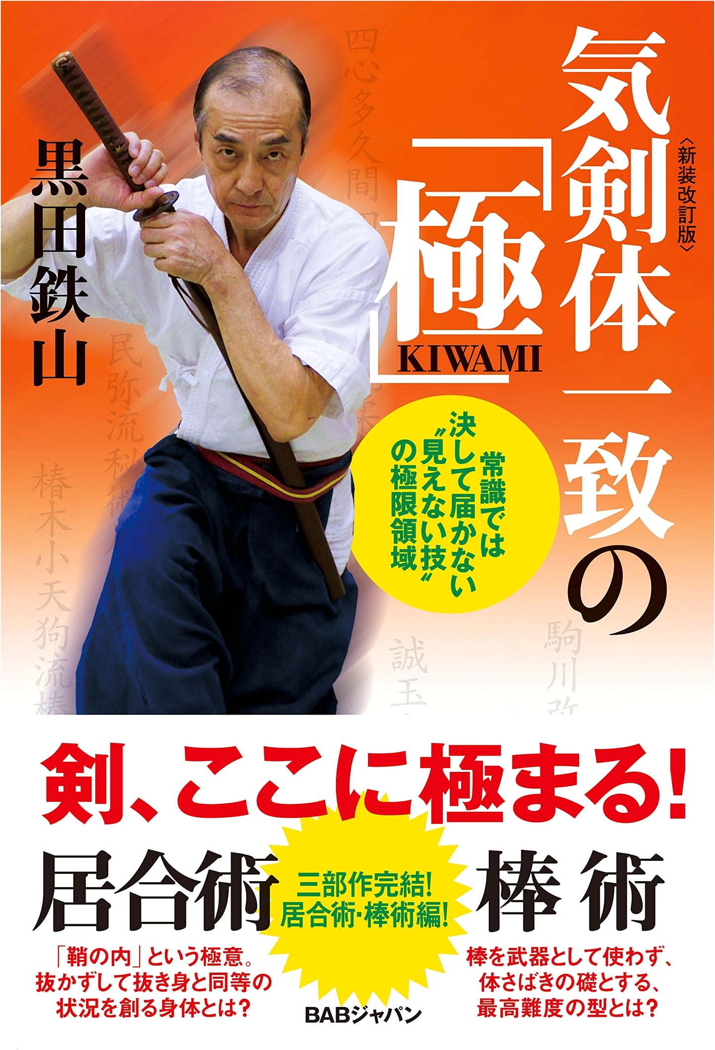 Kiken Tai Ichi: The Ultimate Realm of Invisible Martial Arts Techniques, Revised Edition