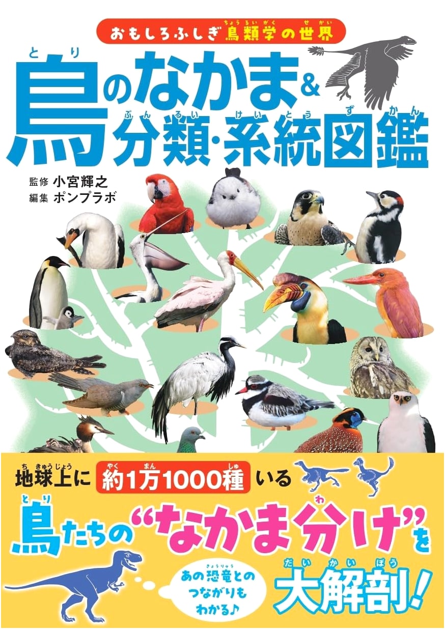 Illustrated Guide to Birds: Species, Classification & Phylogeny