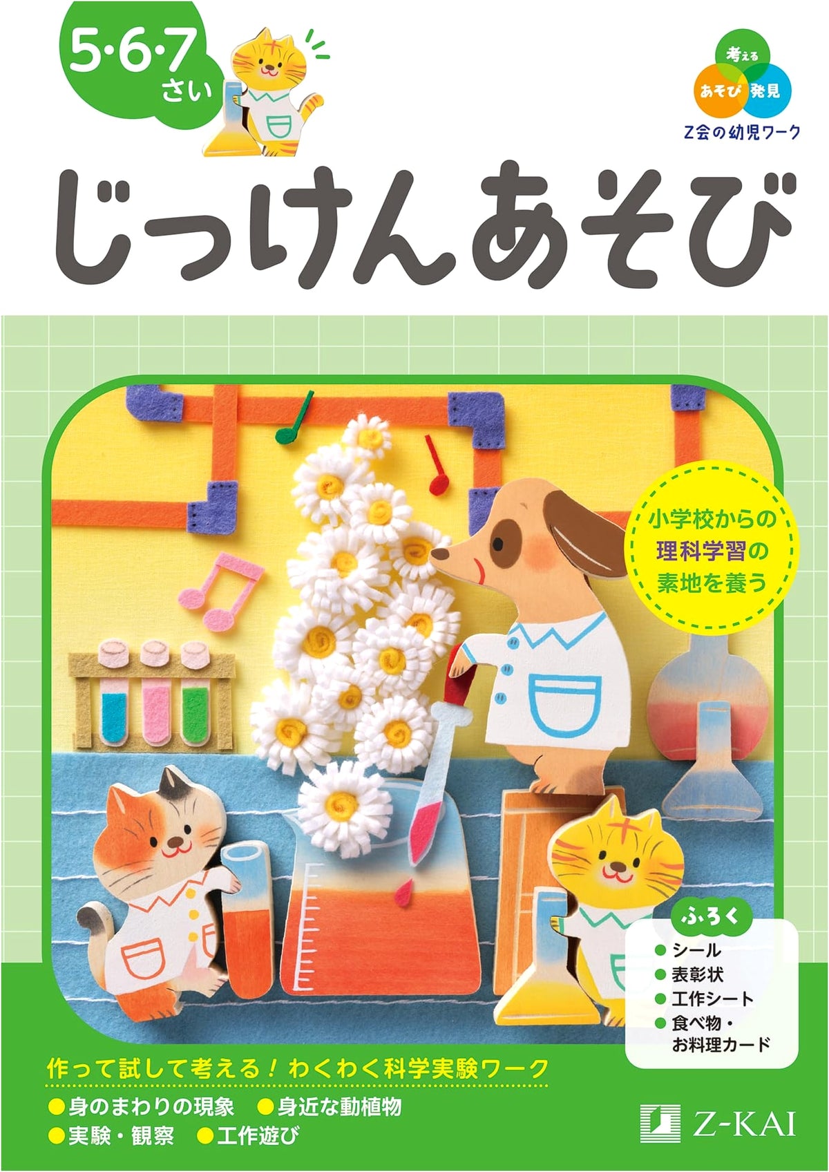 Z-Kai Pre-School Workbook: Experiment Play for Ages 5-7 (Z-Kai Early Childhood Drills)