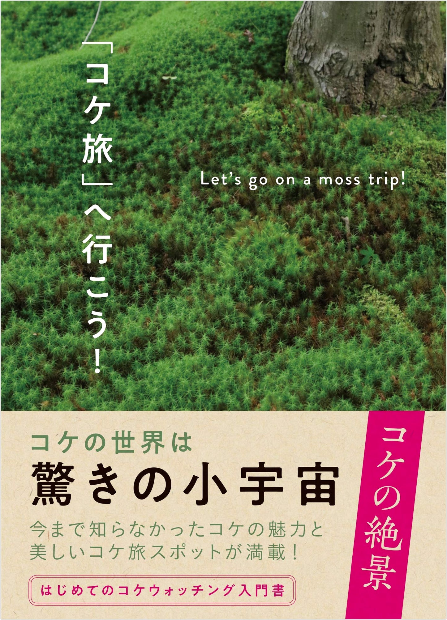 Let's Go on a Moss Journey! Discovering Japan's Miniature Green Worlds
