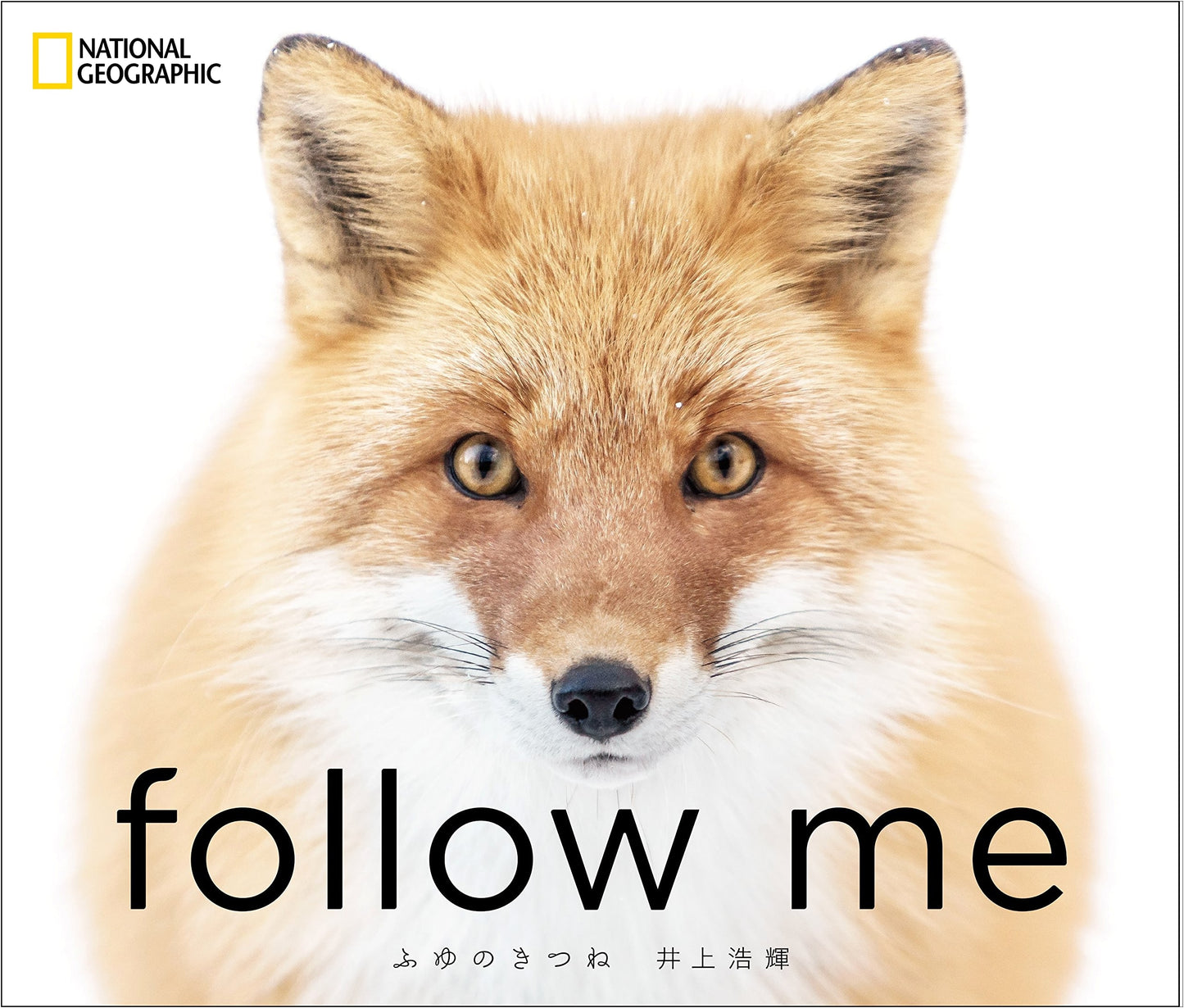 follow me: Winter Fox by Koki Inoue