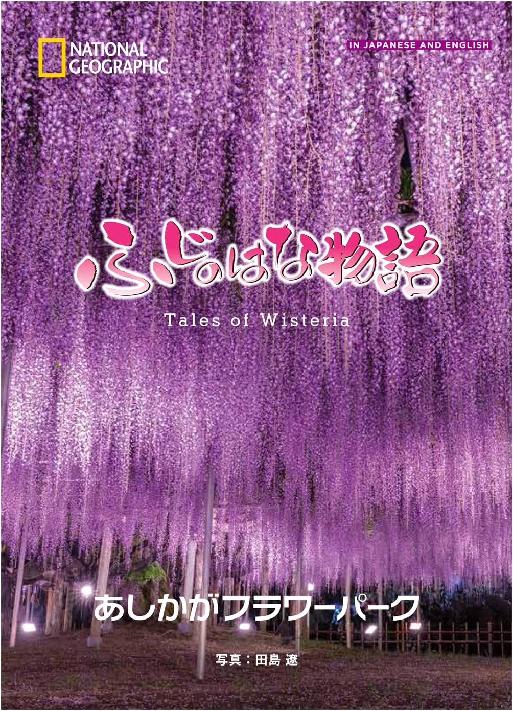 Tales of Wisteria by Ashikaga Flower Park