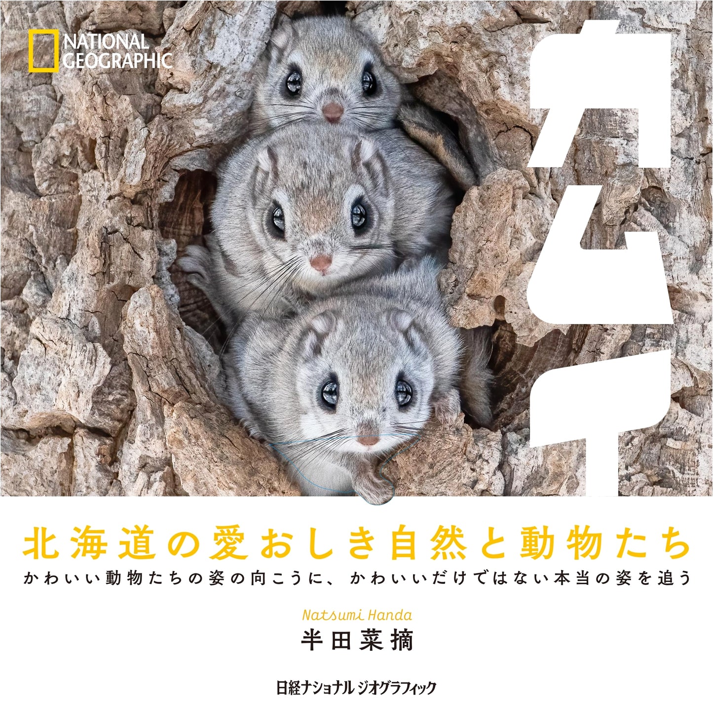 Kamuy by Natsumi Handa: A Photographic Journey