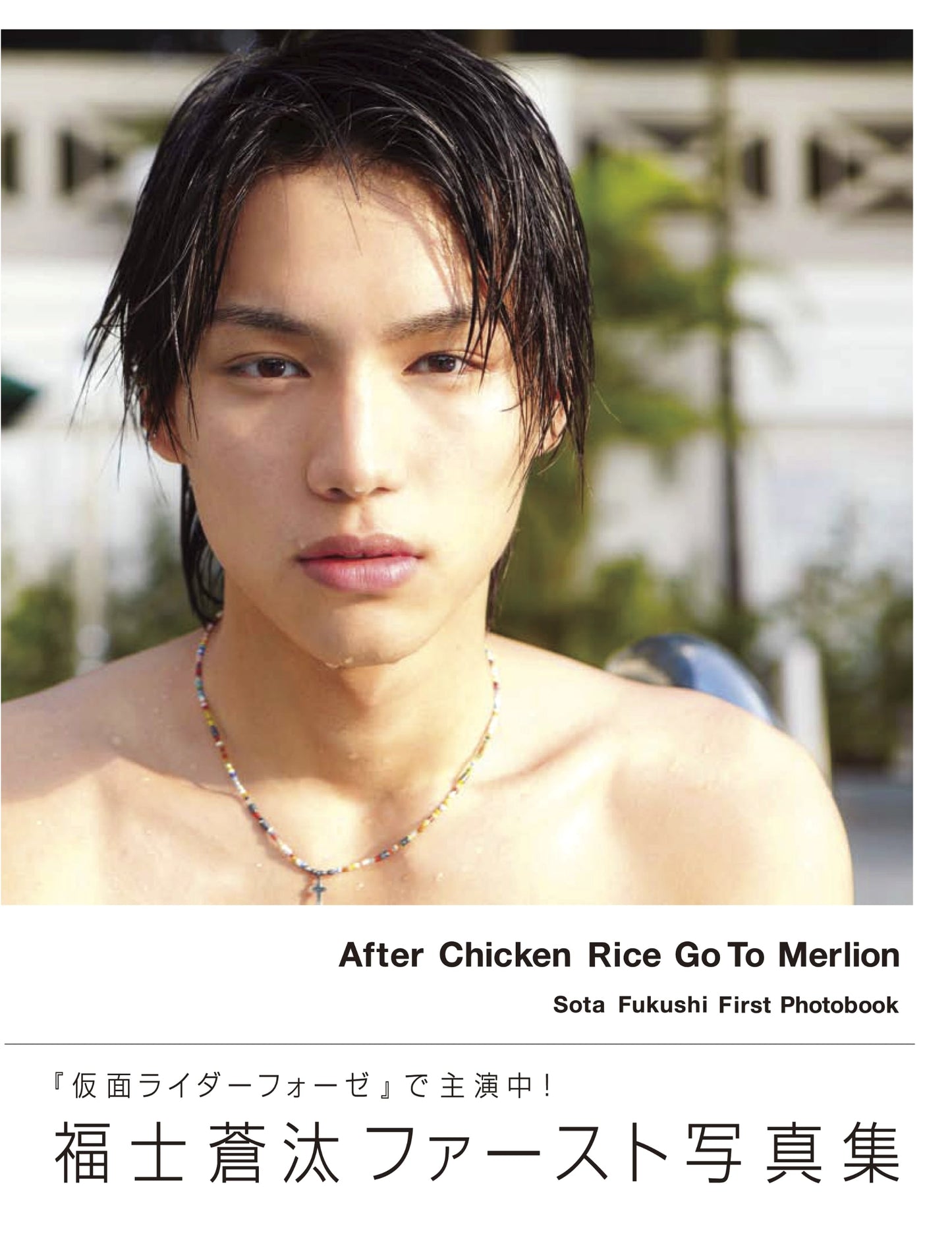 Sota Fukushi: After Chicken Rice Go To Merlion - First Photo Book