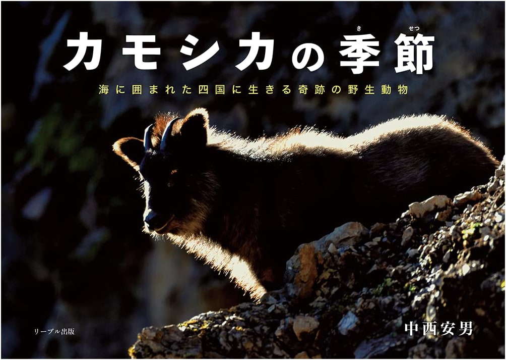 Kamoshika's Season: Miraculous Wildlife Living on Shikoku, Surrounded by the Sea
