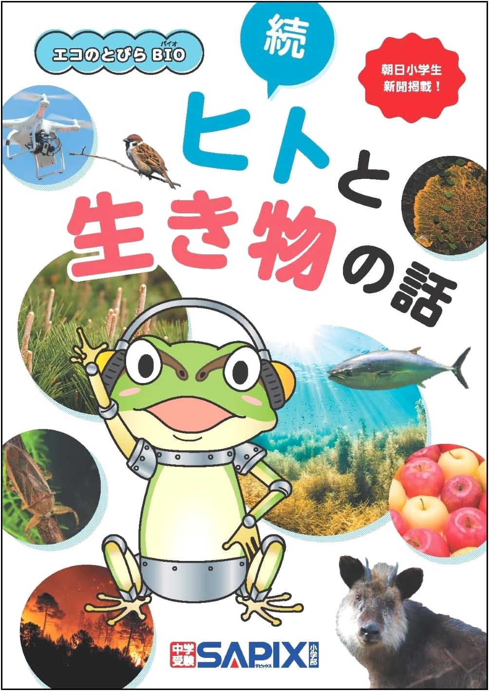 Eco Doors BIO: Continued Stories of Humans and Living Things