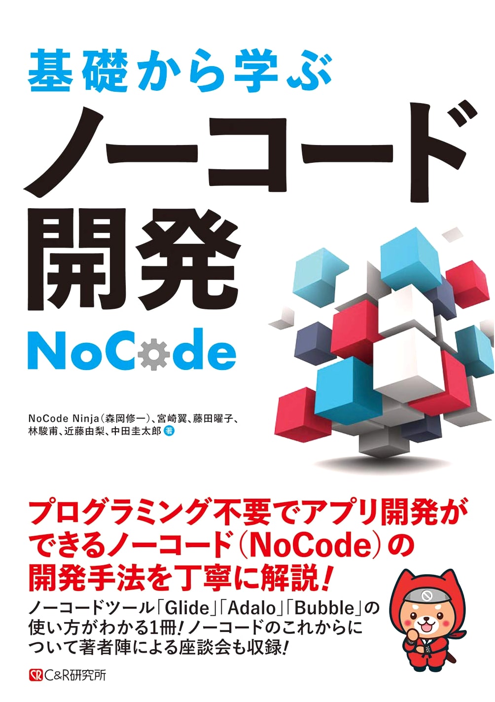 Mastering No-Code Development from the Fundamentals
