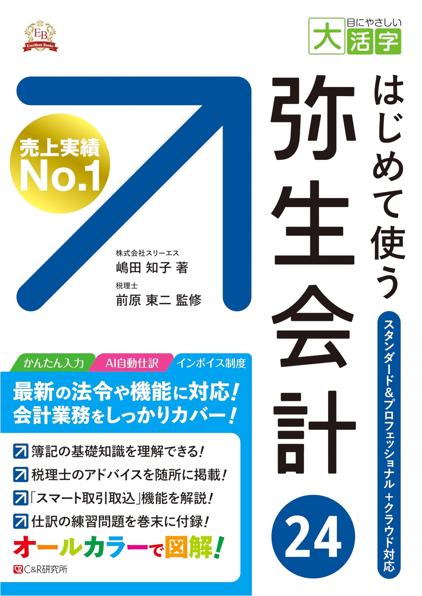 Easy-on-the-Eyes Large Print: Getting Started with Yayoi Accounting 24