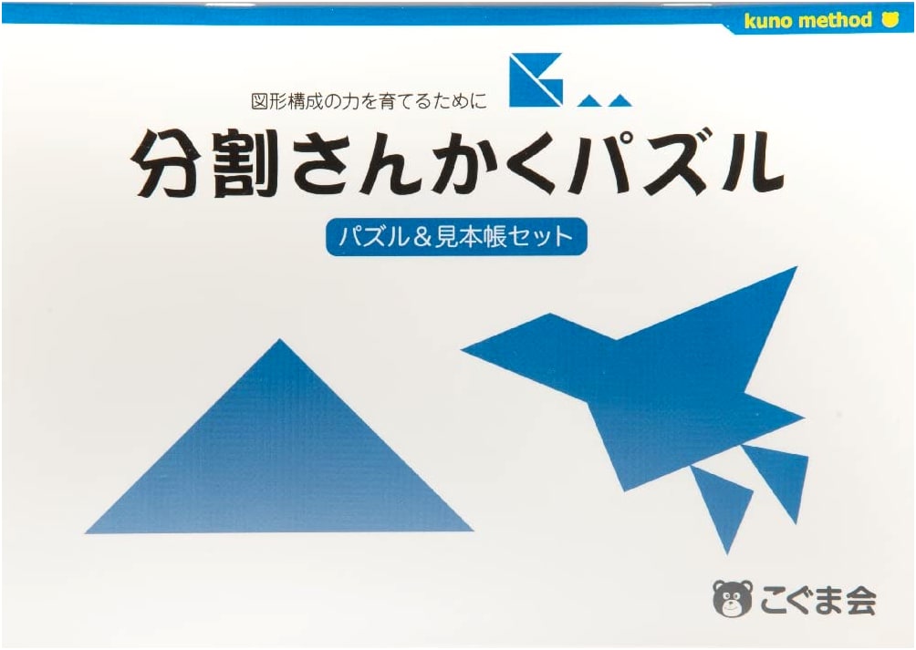 Divided Triangle Puzzle: A Spatial Reasoning Challenge