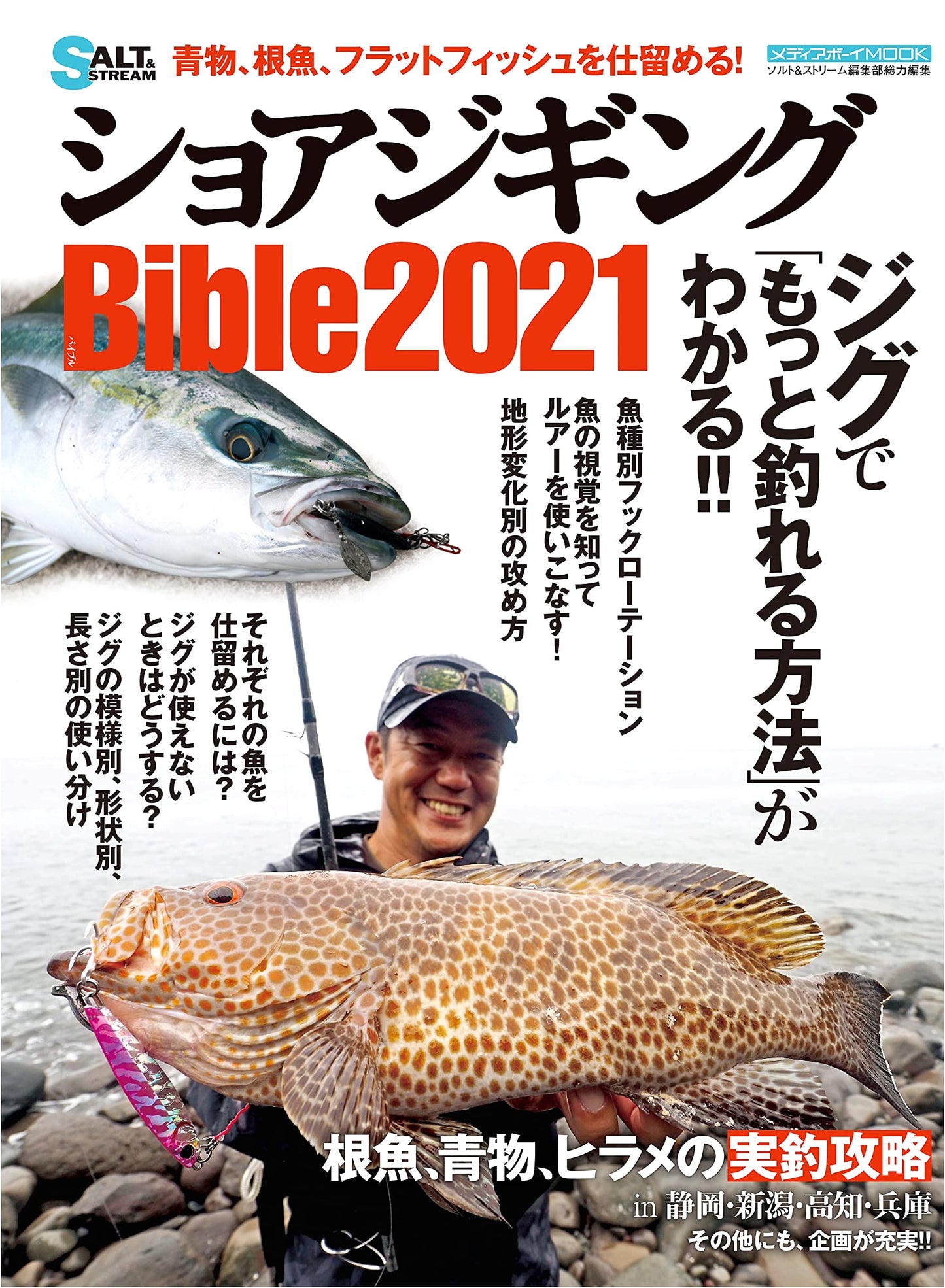 Shore Jigging Bible 2021 (Media Boy MOOK SALT & STREAM Series)