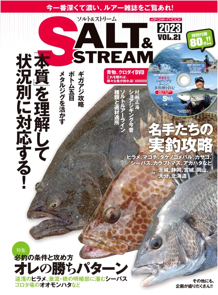 Salt & Stream Vol. 21 (Media Boy Mook Series)