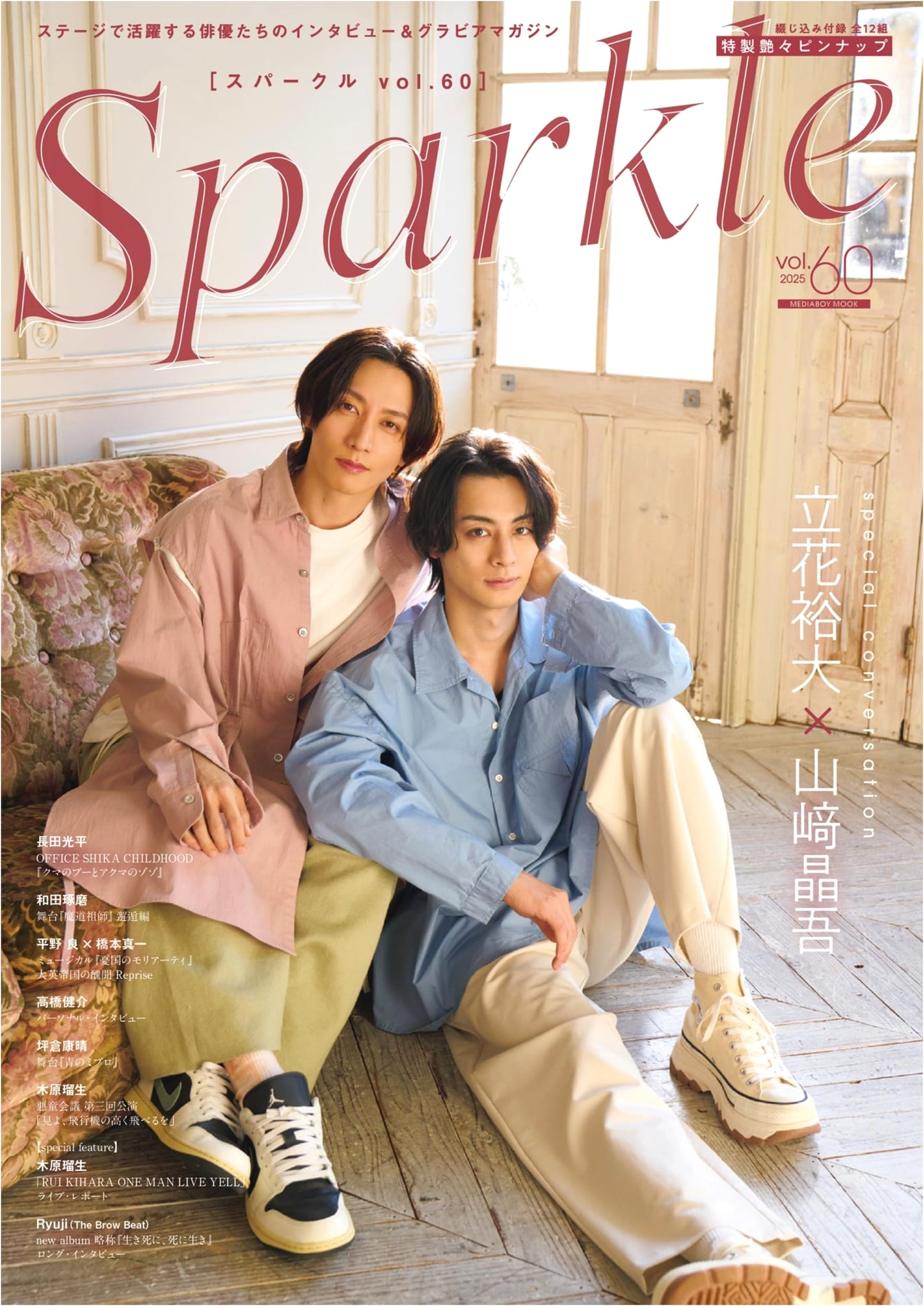 Sparkle Vol. 60: Media Boy Mook