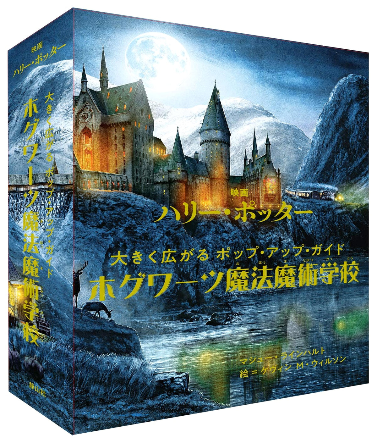 Harry Potter Film: Hogwarts School Pop-Up Gallery Book