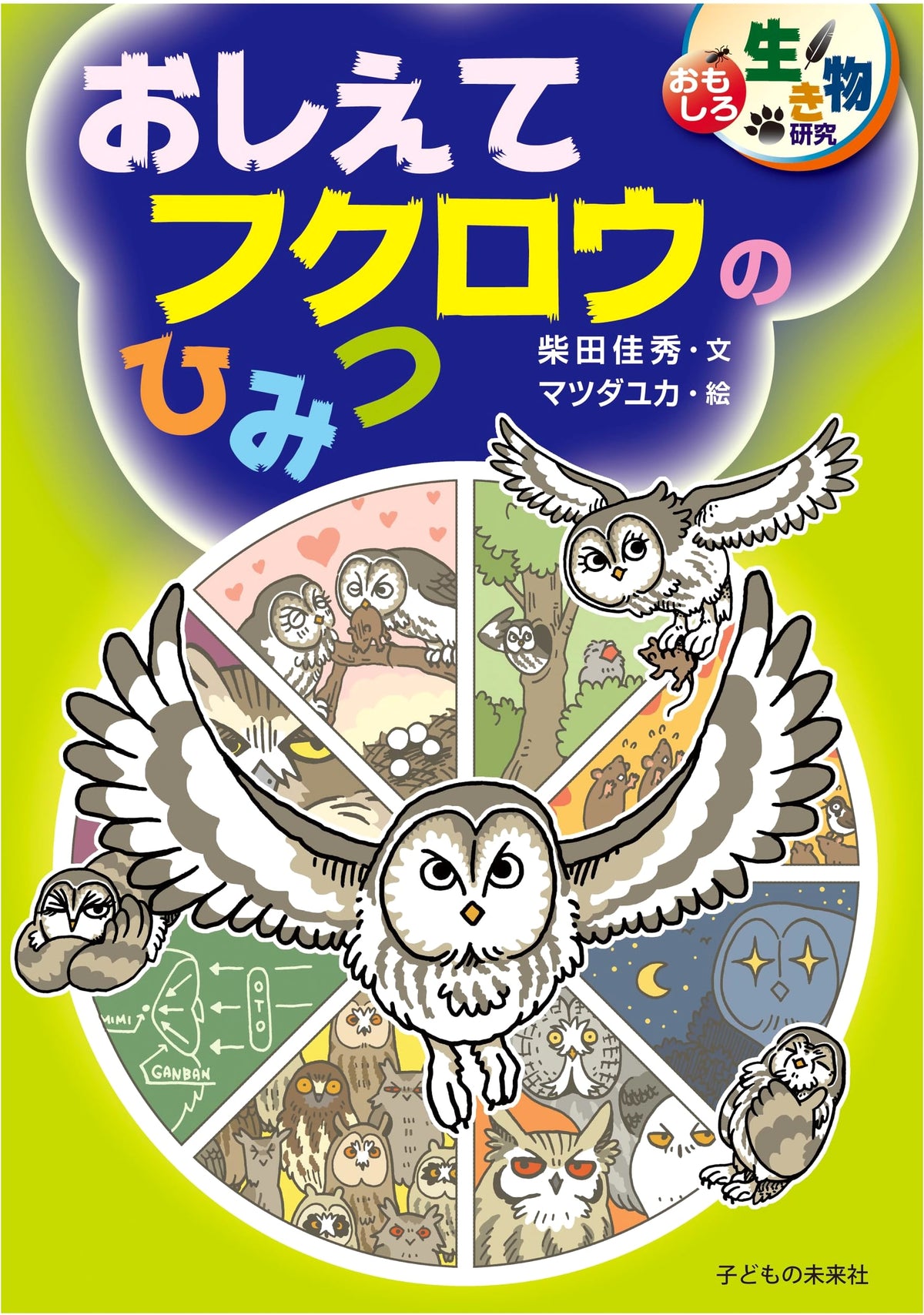 Tell Me the Secrets of Owls (Interesting Creature Research)