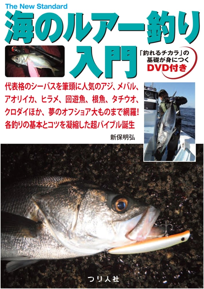 Beginner's Guide to Saltwater Lure Fishing: Seabass, Aji, Mackerel, Squid & More