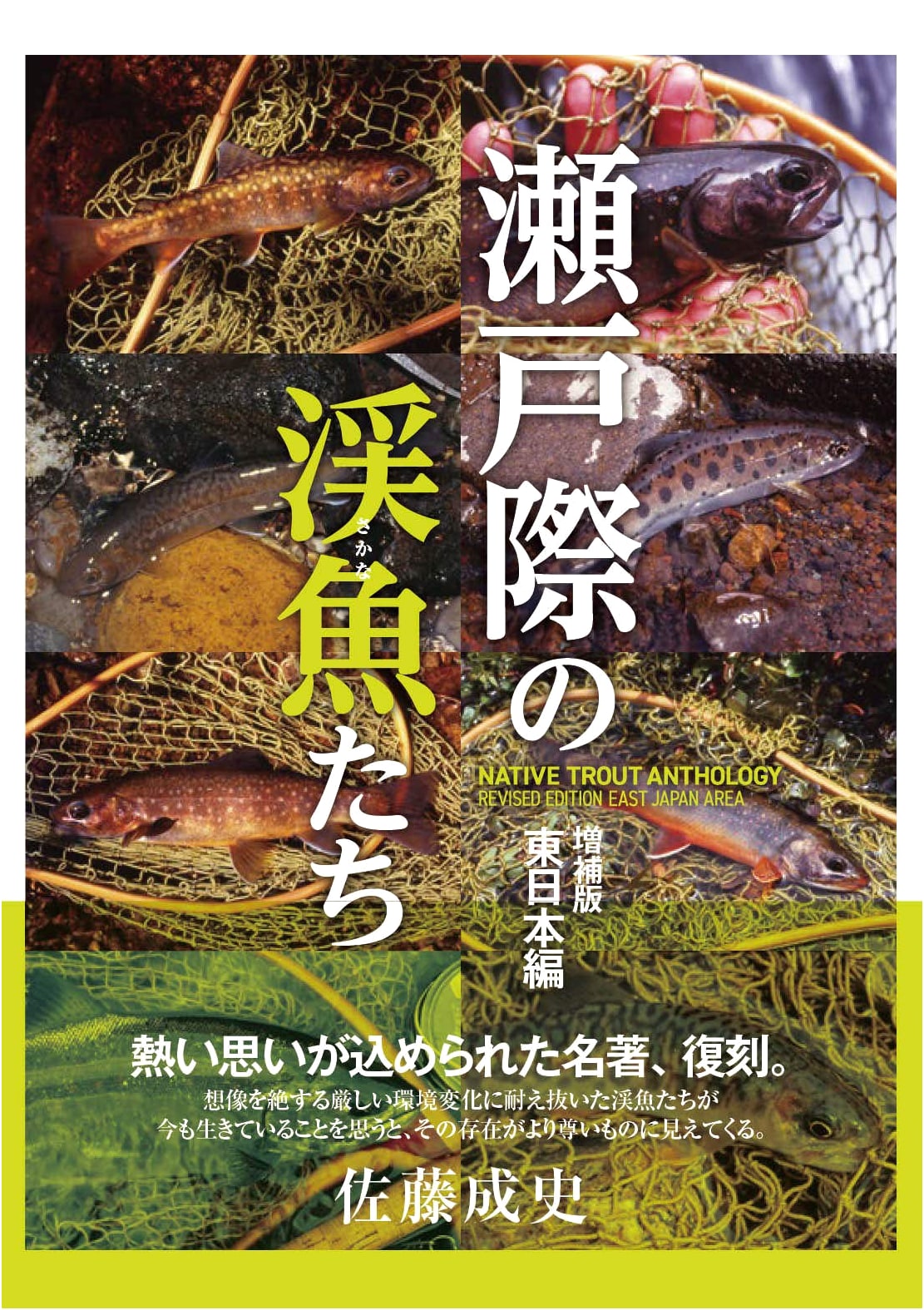 Trout on the Edge: Expanded Edition - Eastern Japan