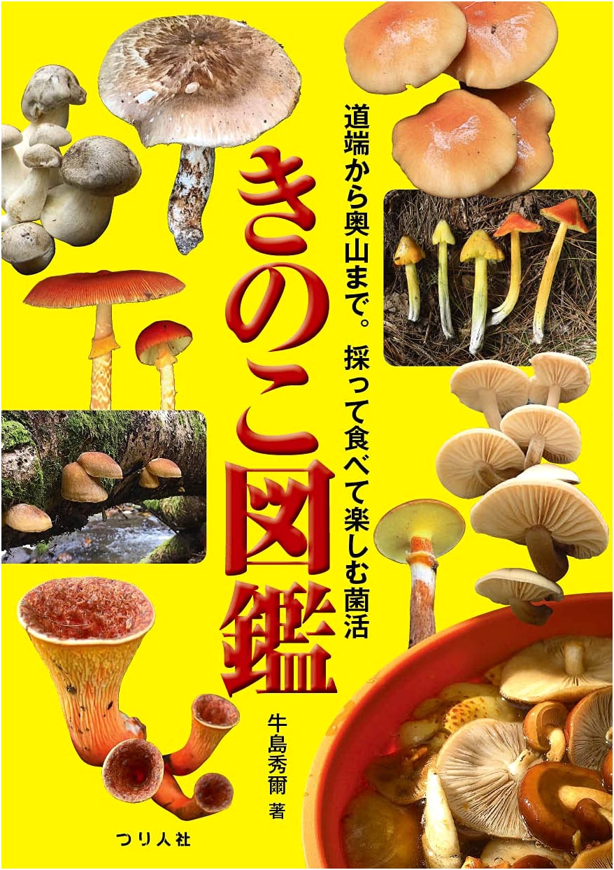 Mushroom Encyclopedia: Foraging and Enjoying Fungi from Roadsides to Deep Mountains
