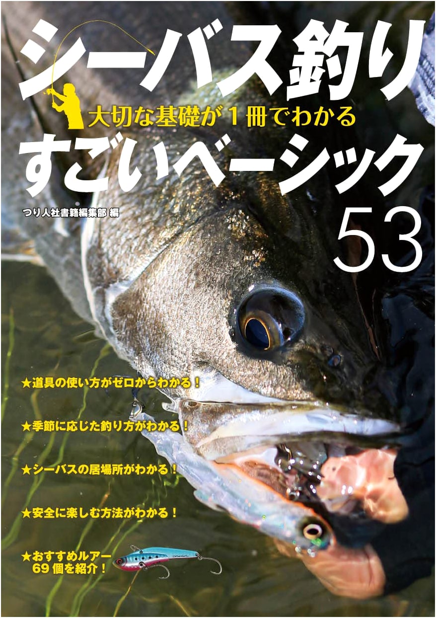 Seabass Fishing: The Incredible 53 Basics You Can Learn in One Book