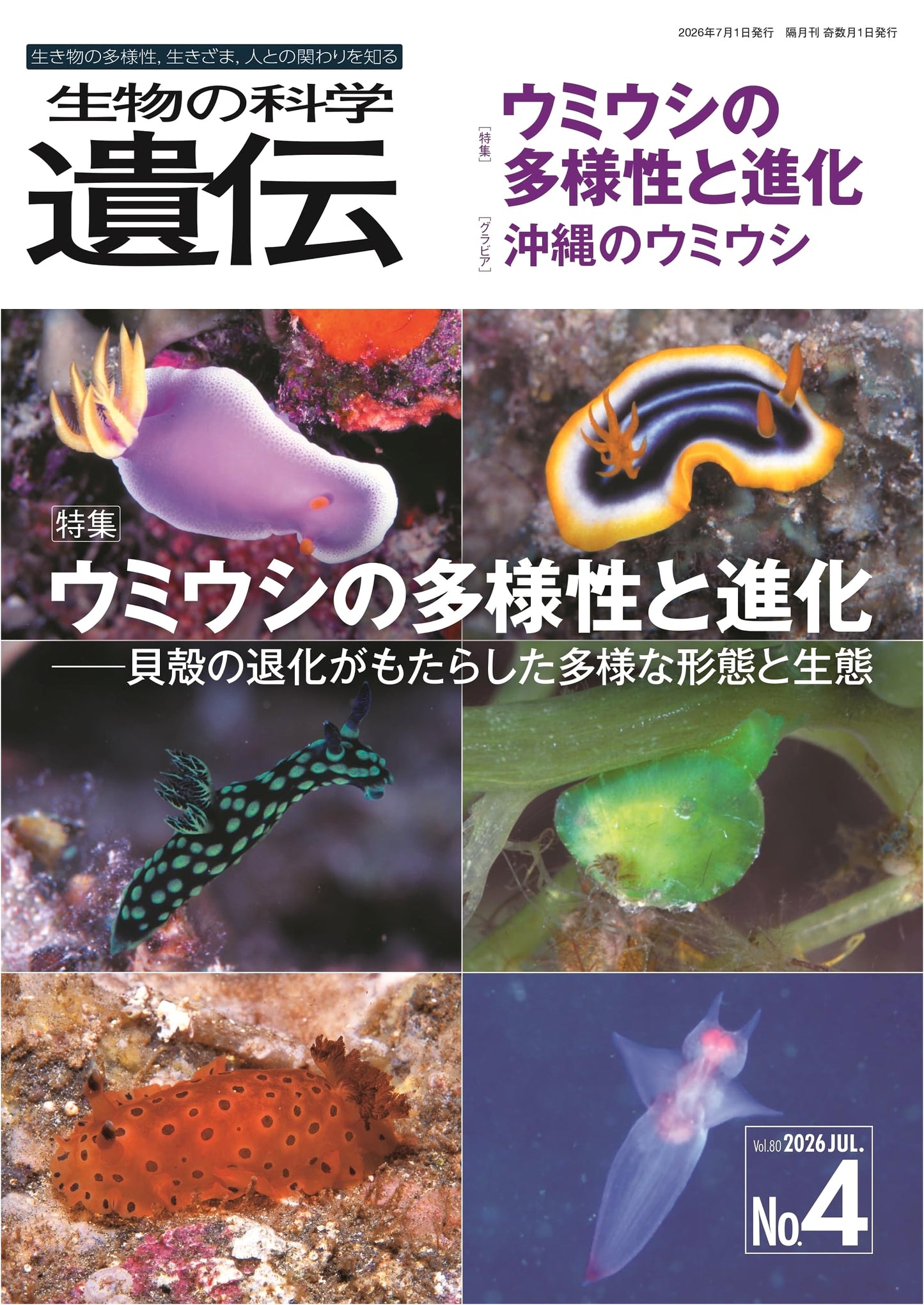 Science of Biology: Heredity - Sea Slug Diversity & Evolution (Vol. 80, No. 4, July 2026)