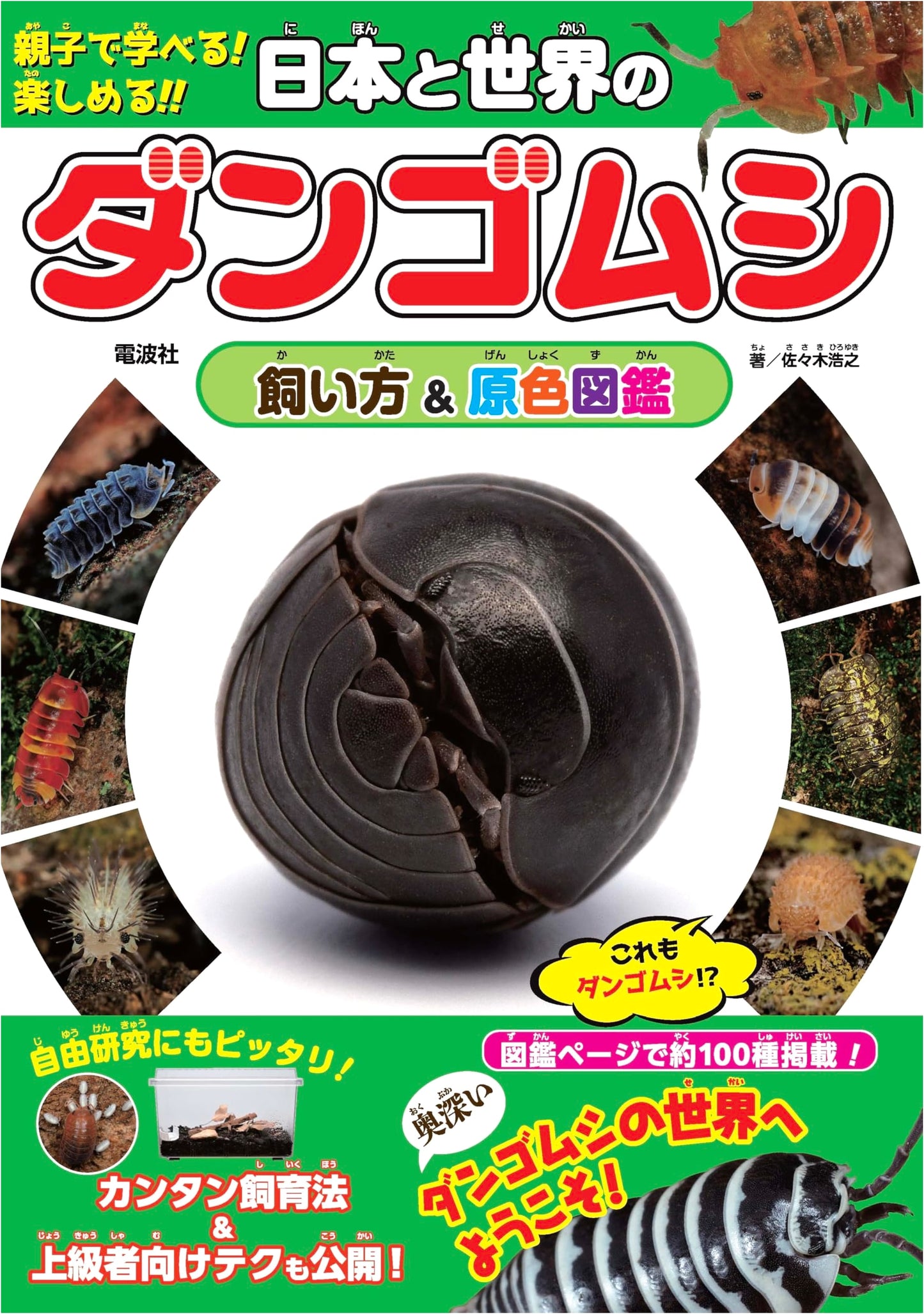Pill Bugs of Japan and the World: A Guide to Raising & Color Identification by Hiroyuki Sasaki