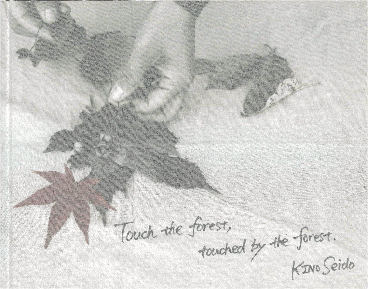 Touch the Forest, Touched by the Forest