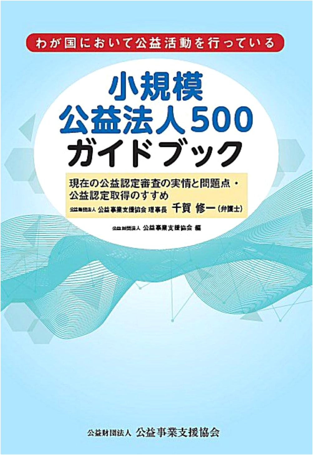 Guidebook for 500 Small Public Interest Corporations: Current Accreditation Realities & Issues