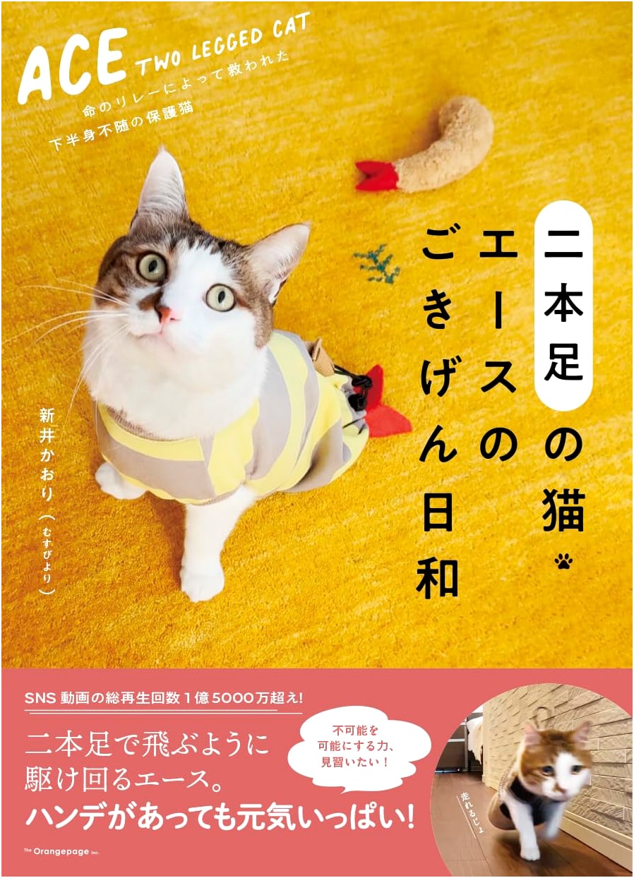 Ace, the Two-Legged Cat: A Happy Day in the Life of Ace by Kaori Arai