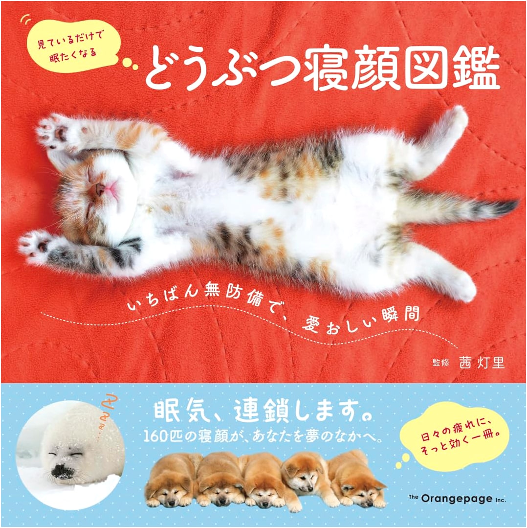 Sleeping Animals: The Most Defenseless, Precious Moments