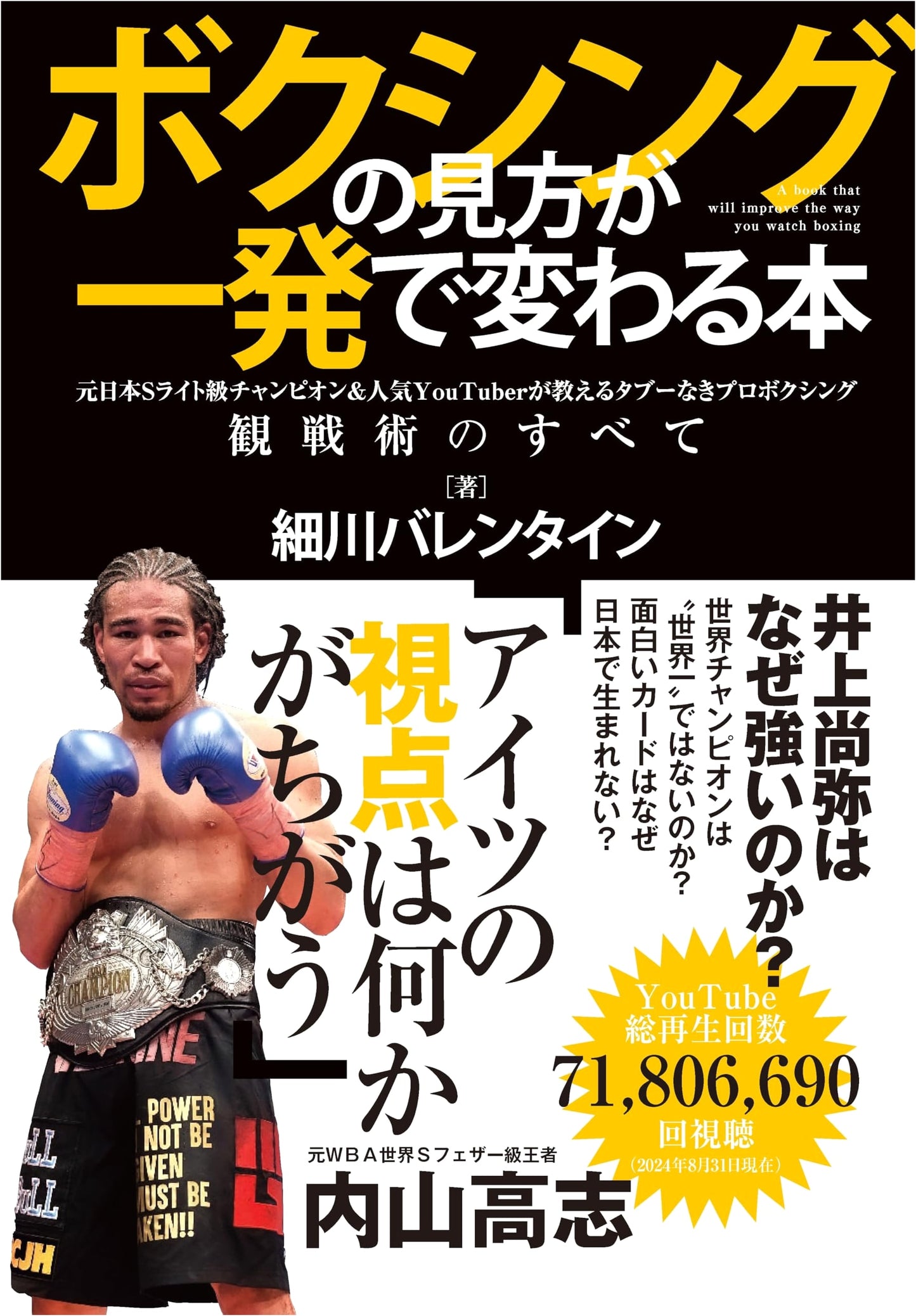 Boxing's Hidden Secrets: A Former Champion's Guide to Watching Pro Boxing