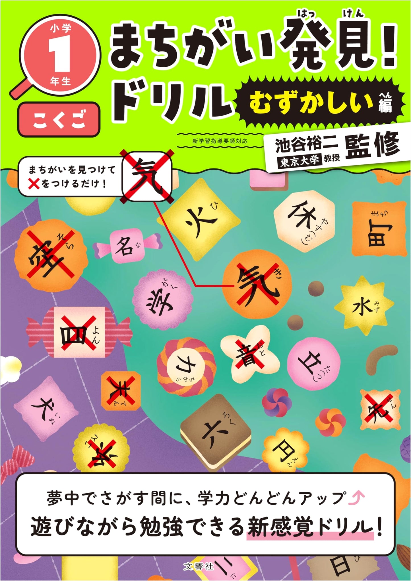 Spot the Mistakes! Japanese Language Workbook - Advanced Edition for Elementary Grade 1