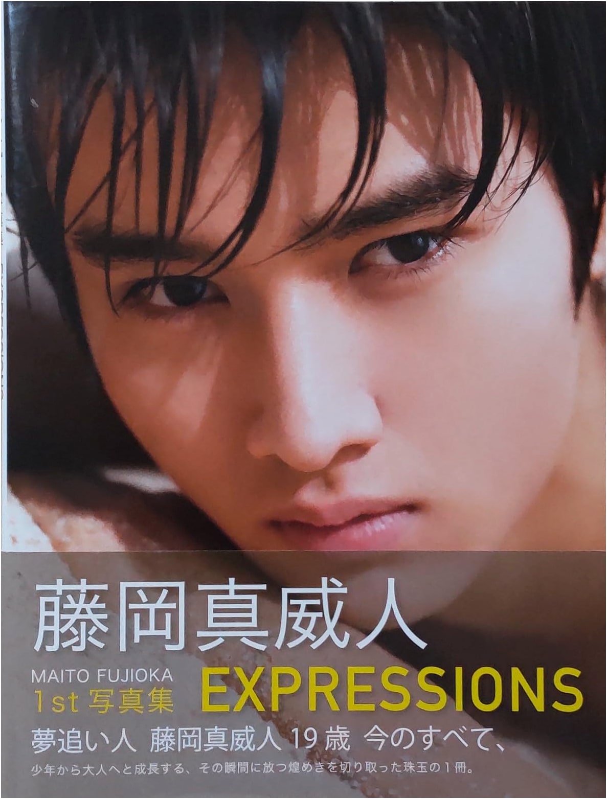 Maito Fujioka 1st Photobook: EXPRESSIONS (TV Guide MOOK)
