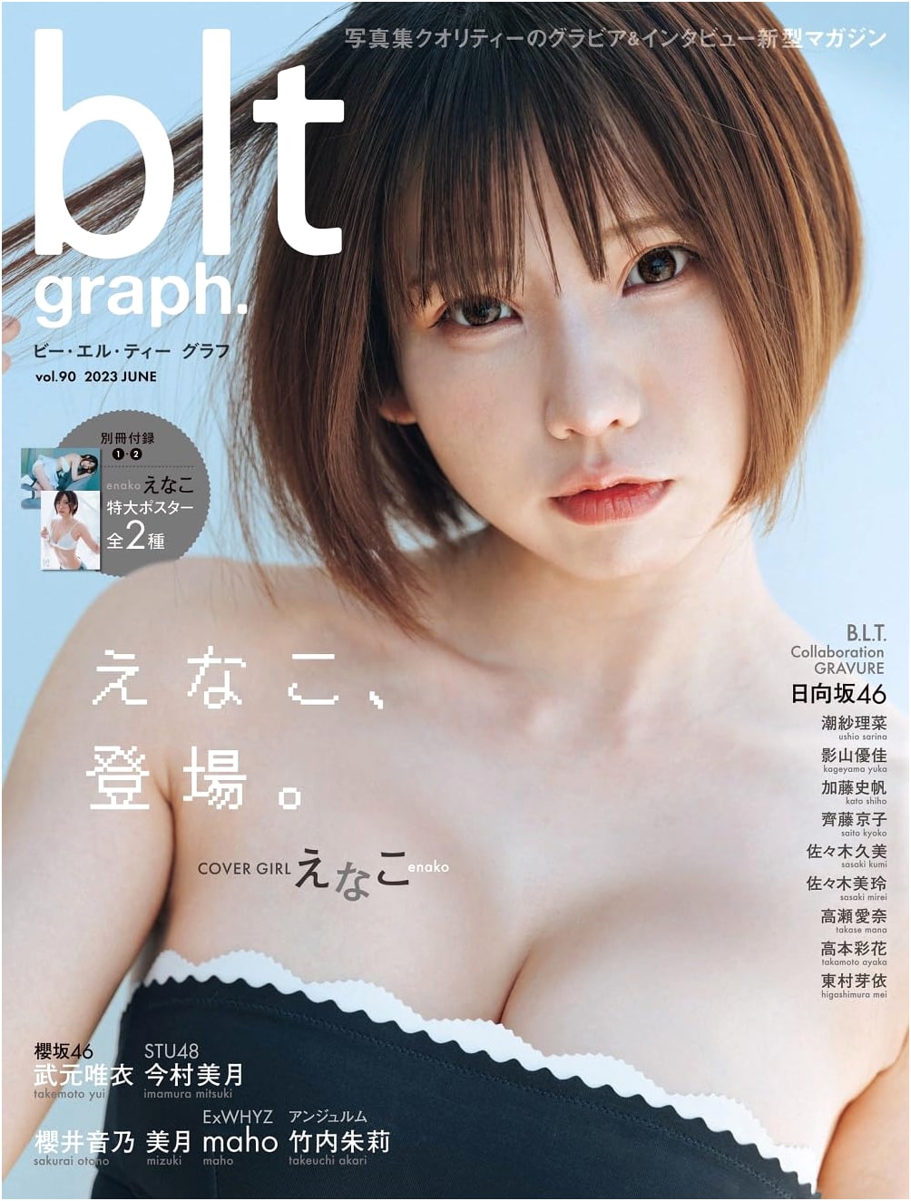 blt graph. Vol. 90 (B.L.T. MOOK Series)