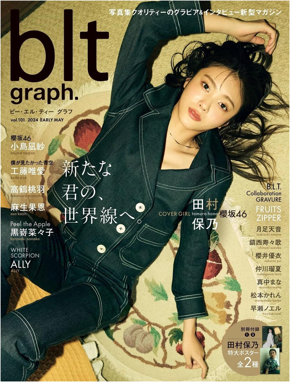 blt graph. Vol. 101 (B.L.T.MOOK)