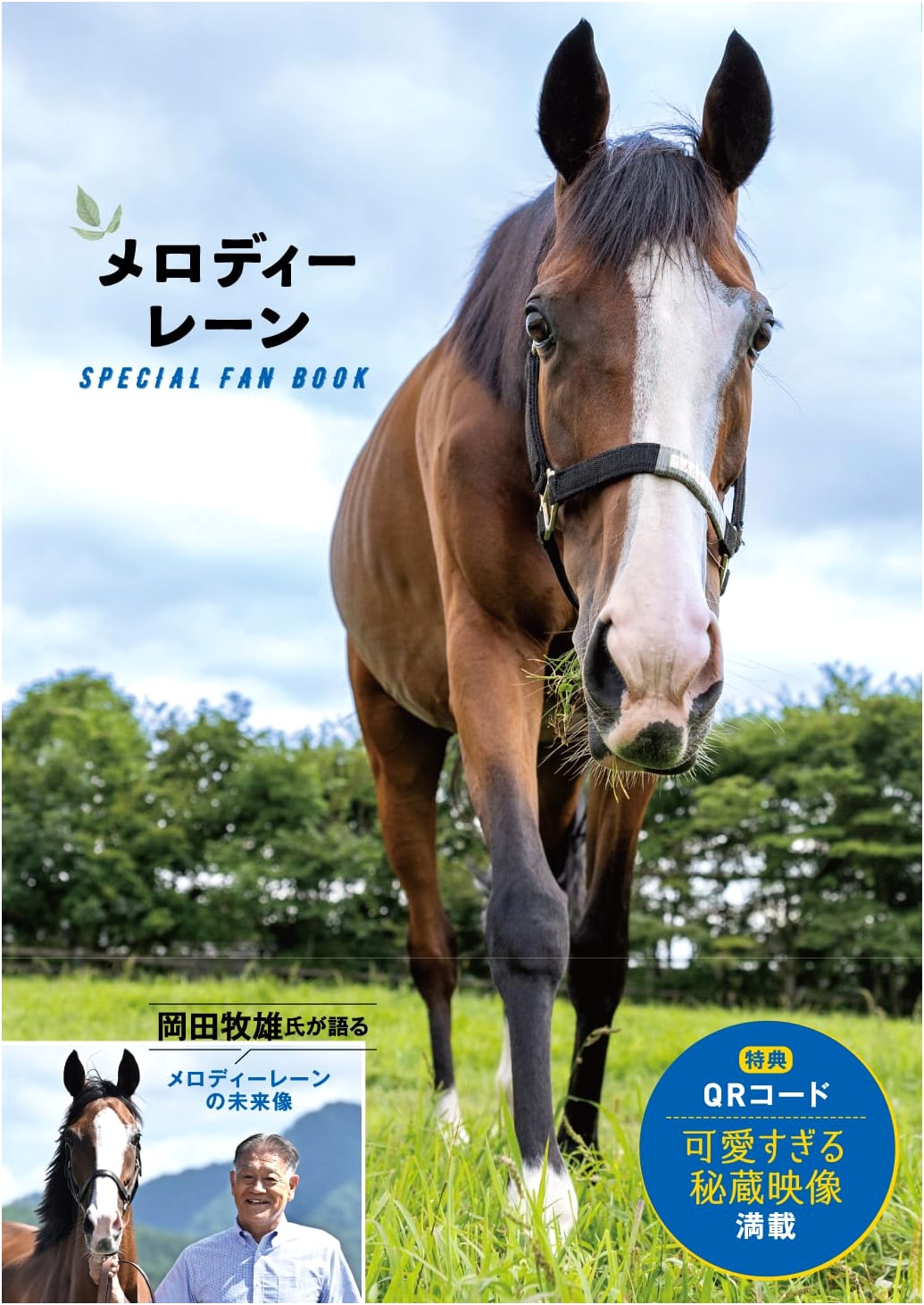 Melody Lane Special Fan Book