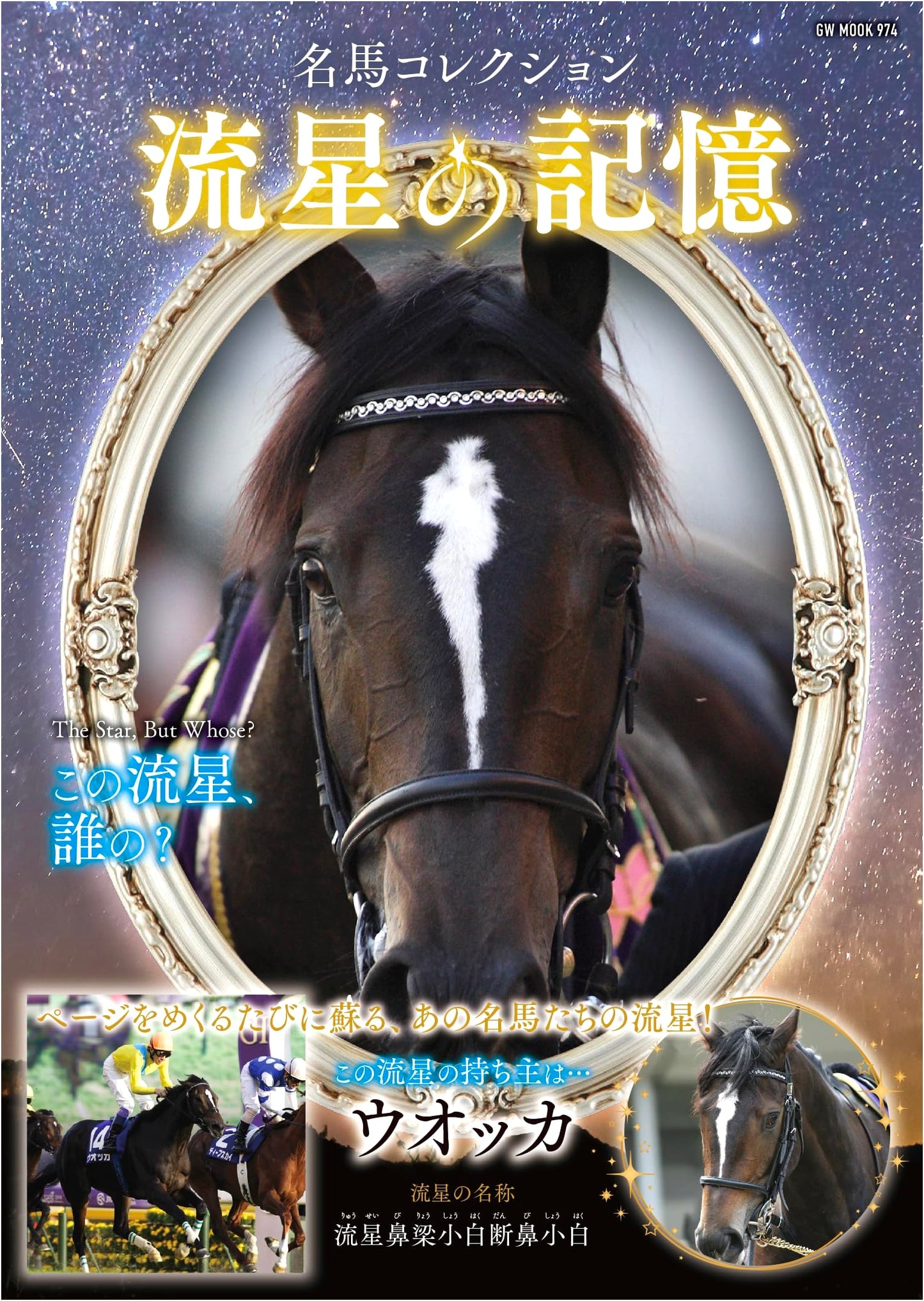 Famous Racehorse Collection: Memories of Shooting Stars (GW MOOK 974)
