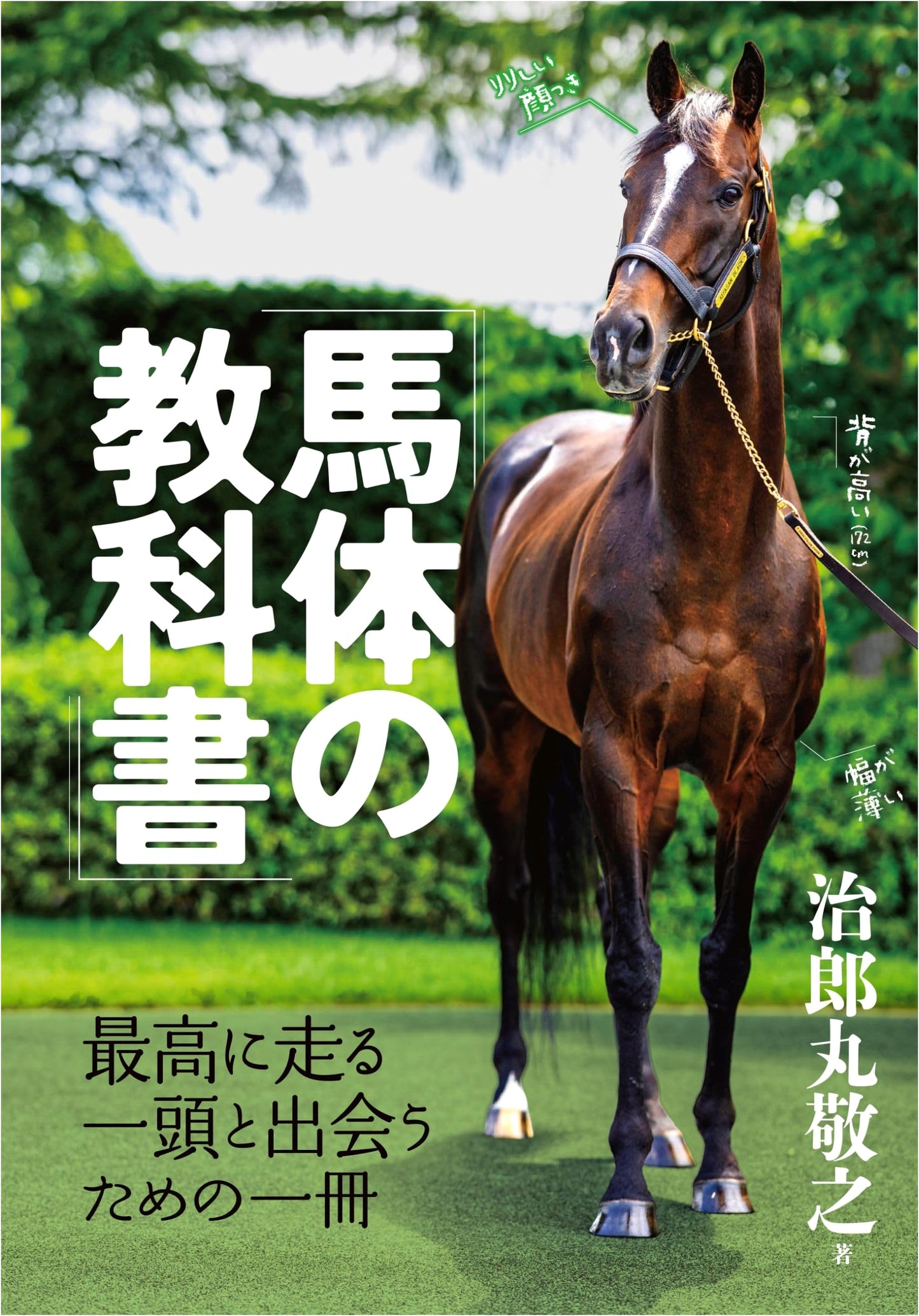 The Horse Body Textbook by Takayuki Jiromaru