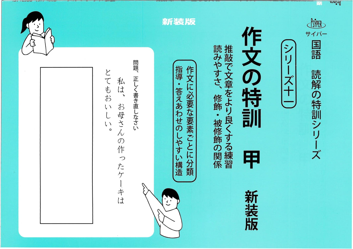 Intensive Japanese Composition Training: Level A, New Edition (Cyper Series 11)