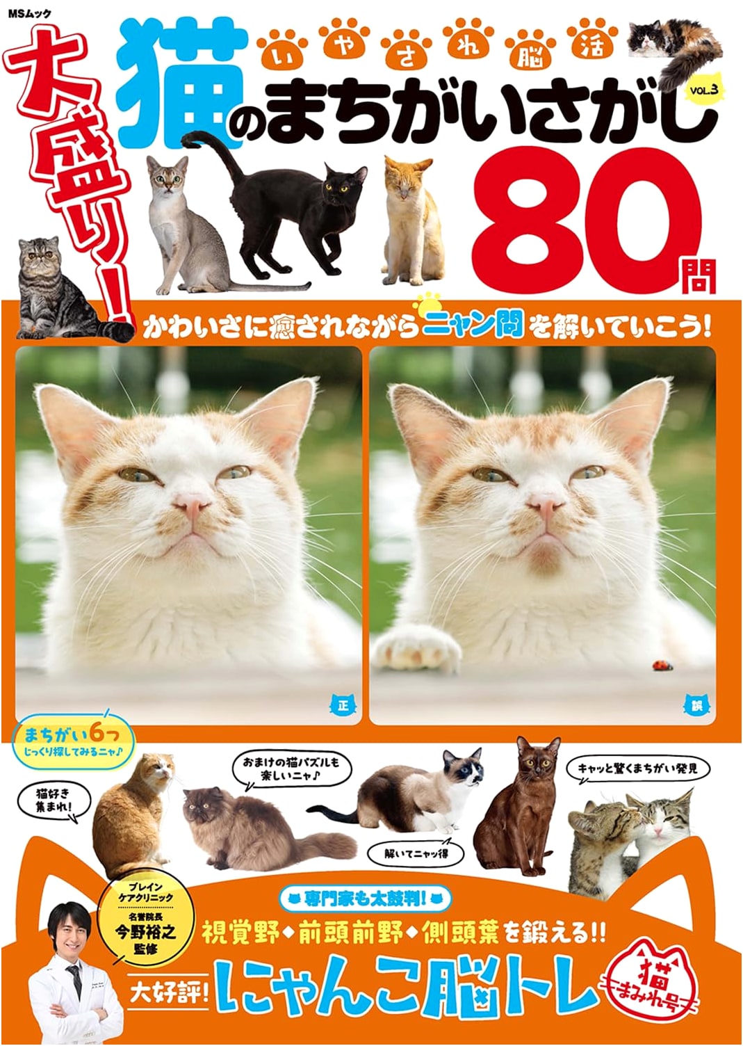 Relaxing Brain Teasers: Cat Spot-the-Difference Puzzles, Vol. 3